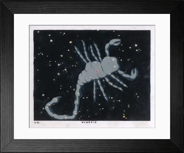 Framed Print : BLUNT / SCORPIO / 45 / 1849 Framed Print : BLUNT / SCORPIO / 45 / 1849