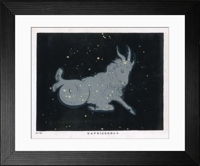 Framed Print : BLUNT / CAPRICORN / 47 / 1849 Framed Print : BLUNT / CAPRICORN / 47 / 1849