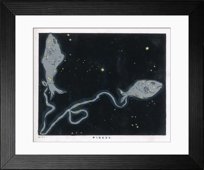 Framed Print : BLUNT / PISCES / PLATE 49 Framed Print : BLUNT / PISCES / PLATE 49