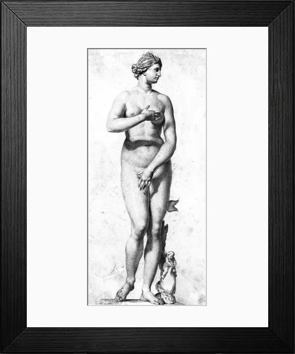 Framed Print : Aphrodite Statue Framed Print : Aphrodite Statue