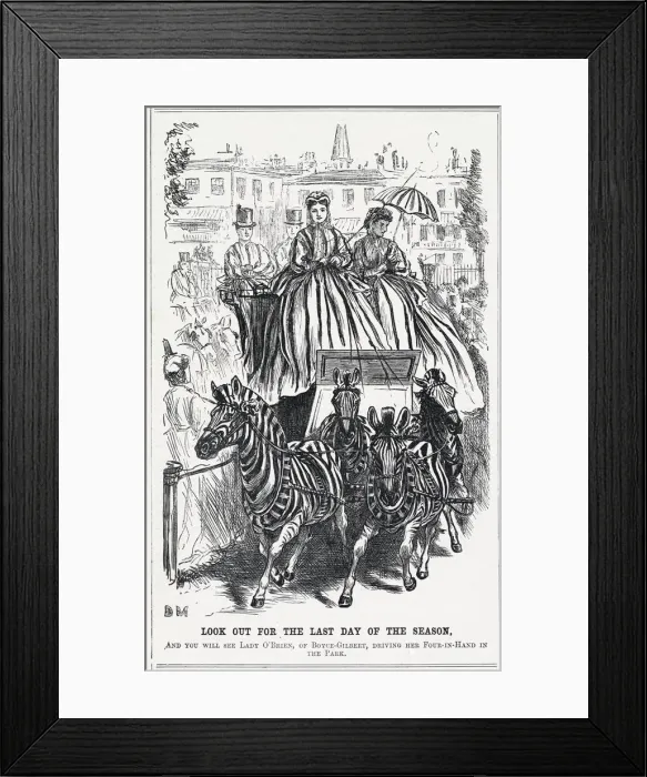 Framed Print : ZEBRA PULL FOUR-IN-HAND Framed Print : ZEBRA PULL FOUR-IN-HAND