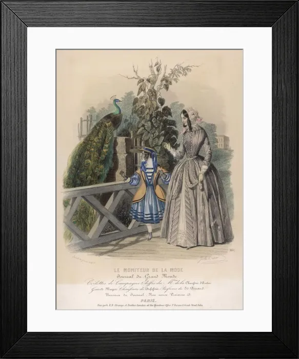Framed Print : COMPETING WITH PEACOCK Framed Print : COMPETING WITH PEACOCK