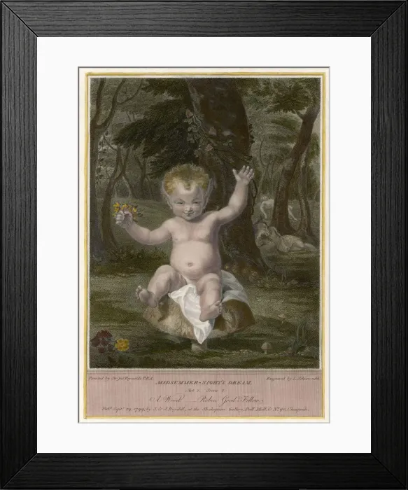 Framed Print : ROBIN GOOD-FELLOW Framed Print : ROBIN GOOD-FELLOW