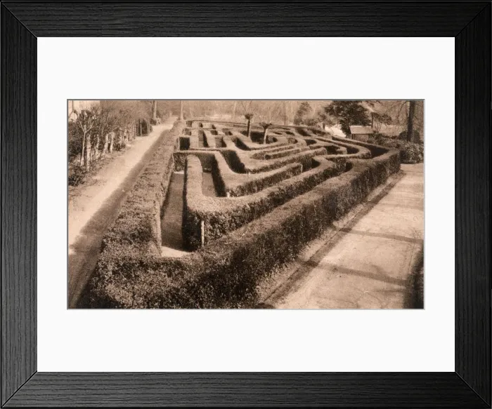 Framed Print : HAMPTON COURT / MAZE Framed Print : HAMPTON COURT / MAZE