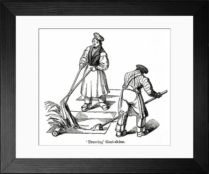 Framed Print : Drawing goatskins at a leather factory, south London Framed Print : Drawing goatskins at a leather factory, south London