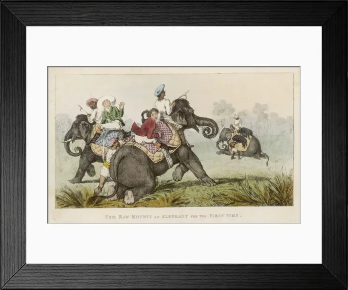 Framed Print : Tom Raw : on Elephant Framed Print : Tom Raw : on Elephant