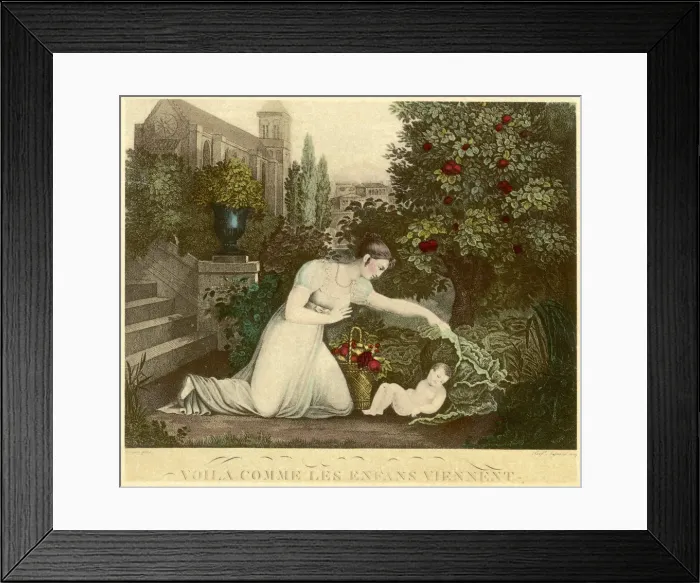 Framed Print : BABY UNDER CABBAGE LEAF Framed Print : BABY UNDER CABBAGE LEAF