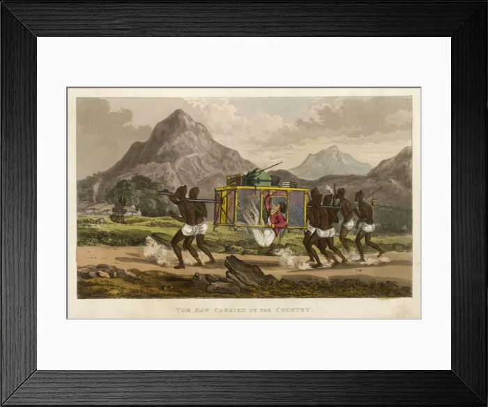 Framed Print : Tom Raw : in Litter Framed Print : Tom Raw : in Litter