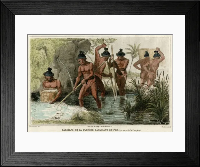 Framed Print : FLORIDA GOLD, C16 Framed Print : FLORIDA GOLD, C16