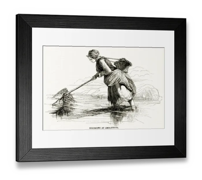Framed Print : Shrimping at Ambleteuse 1858 Framed Print : Shrimping at Ambleteuse 1858
