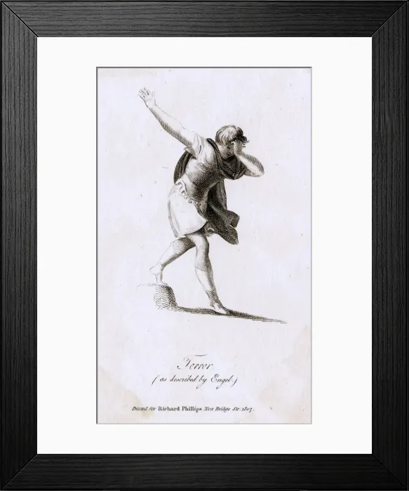 Framed Print : STAGE GESTURE / TERROR Framed Print : STAGE GESTURE / TERROR