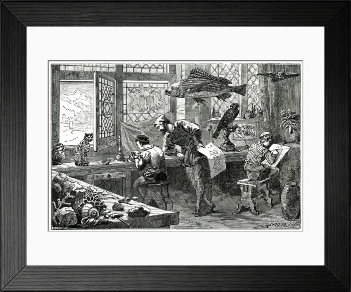 Framed Print : CONRAD GESNERS STUDY Framed Print : CONRAD GESNERS STUDY