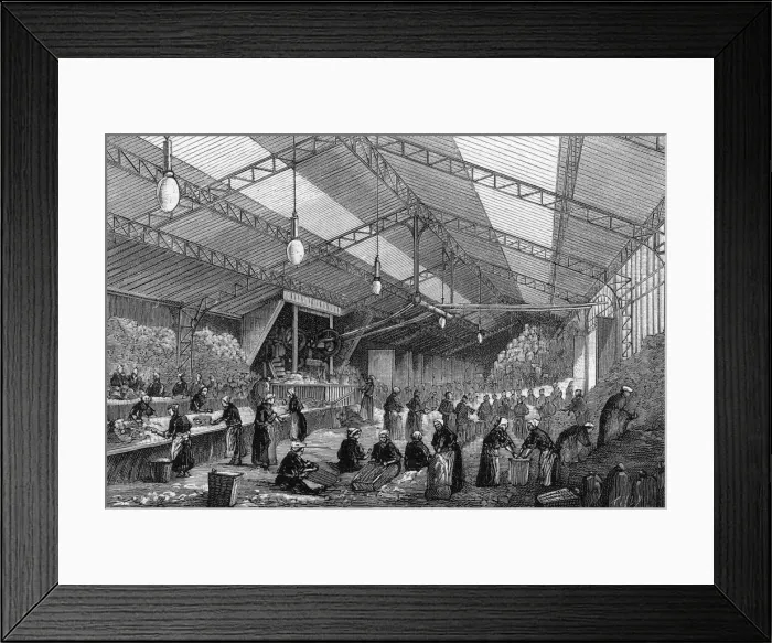Framed Print : RECYCLING RAGS Framed Print : RECYCLING RAGS