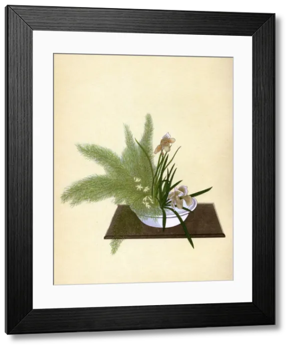Framed Print : JAPANESE ARRANGEMENT - 6 Framed Print : JAPANESE ARRANGEMENT - 6