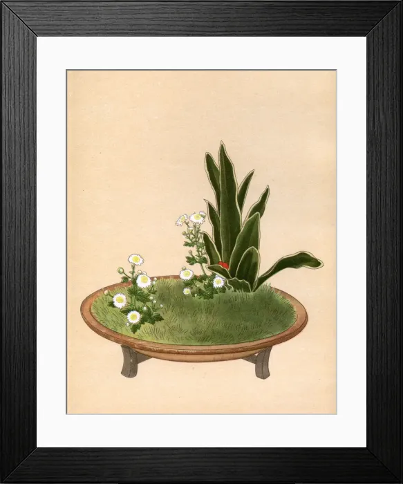Framed Print : JAPANESE ARRANGEMENT -13 Framed Print : JAPANESE ARRANGEMENT -13