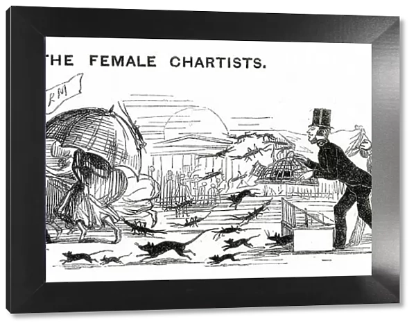 Cartoon, How to Treat the Female Chartists