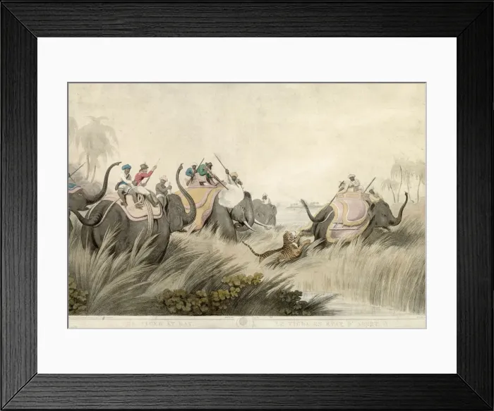 Framed Print : HUNTING TIGER / WILLIAMSON Framed Print : HUNTING TIGER / WILLIAMSON
