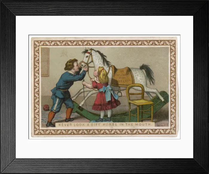 Framed Print : PROVERB / GIFT HORSE Framed Print : PROVERB / GIFT HORSE