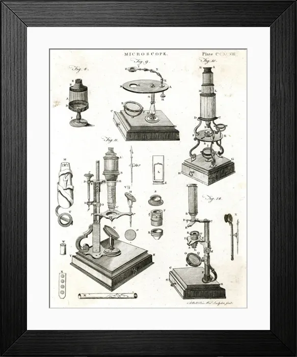 Framed Print : MICROSCOPE / ENC. BRIT Framed Print : MICROSCOPE / ENC. BRIT
