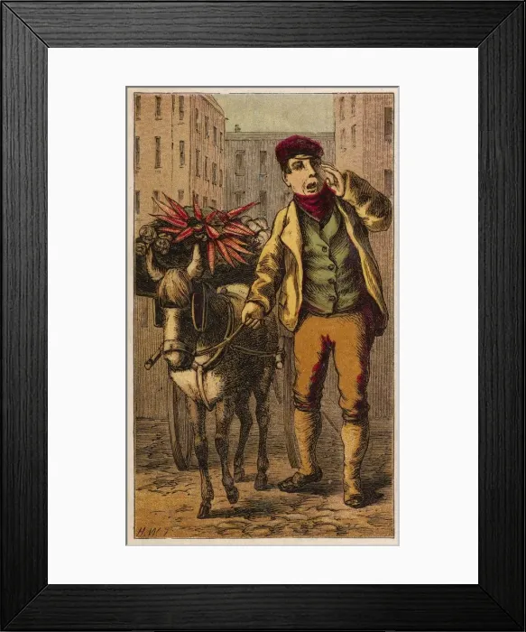 Framed Print : COSTERMONGER Framed Print : COSTERMONGER