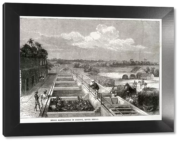 Indigo manufacture in Tirhoot 1869