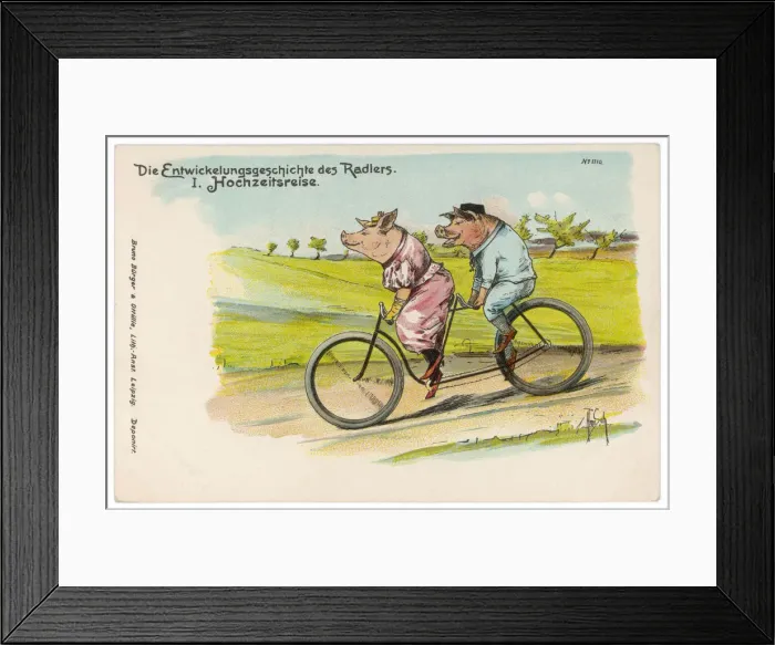 Framed Print : Pigs on Honeymoon Framed Print : Pigs on Honeymoon