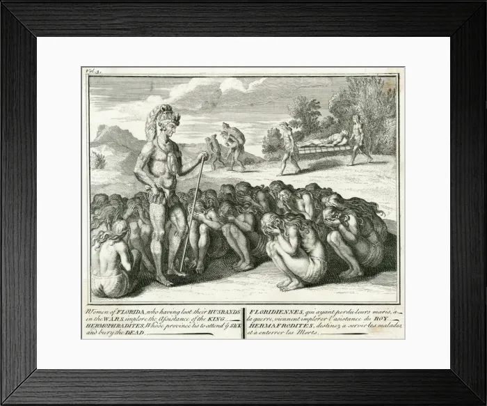 Framed Print : FLORIDA WIDOWS 1737 Framed Print : FLORIDA WIDOWS 1737