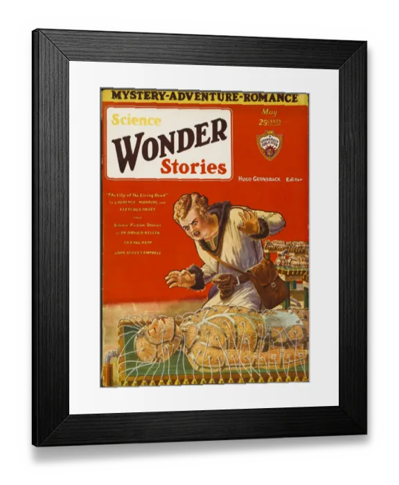 Framed Print : ADVENTURE MACHINES Framed Print : ADVENTURE MACHINES