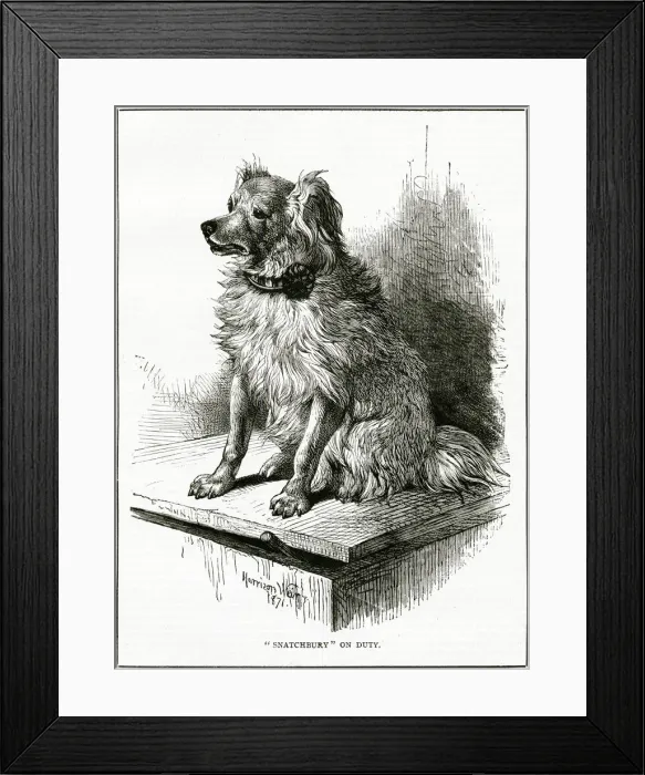 Framed Print : FAMOUS DOG SNATCHBURY