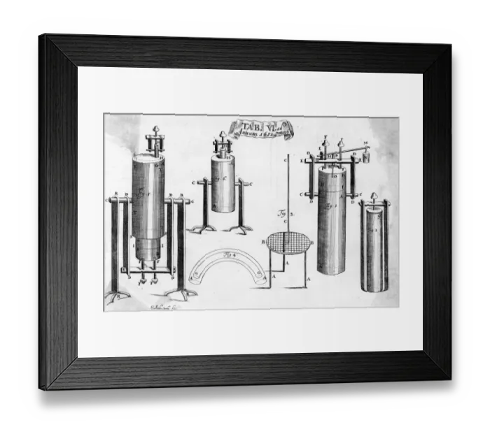 Framed Print : PAPINS BONE DIGESTER Framed Print : PAPINS BONE DIGESTER