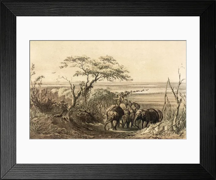 Framed Print : BARTH / AFRICA / LAKE CHAD Framed Print : BARTH / AFRICA / LAKE CHAD