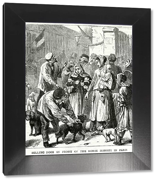 Selling dogs for food 1871
