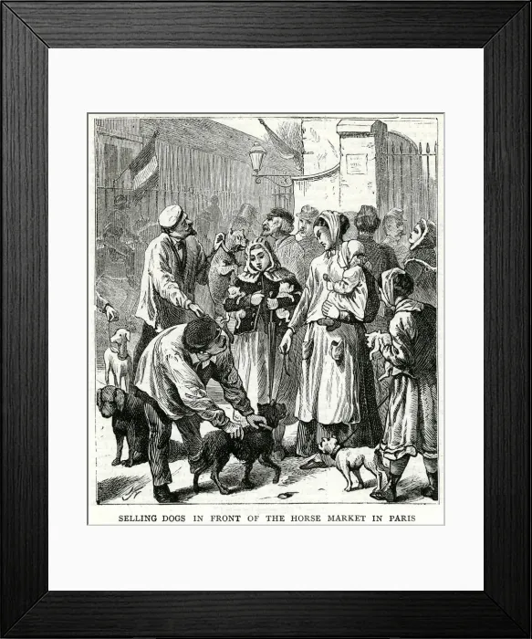 Framed Print : Selling dogs for food 1871 Framed Print : Selling dogs for food 1871