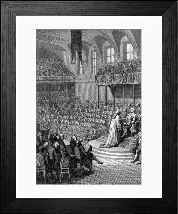 Framed Print : LOUIS / XVI / CONSTITUTION Framed Print : LOUIS / XVI / CONSTITUTION