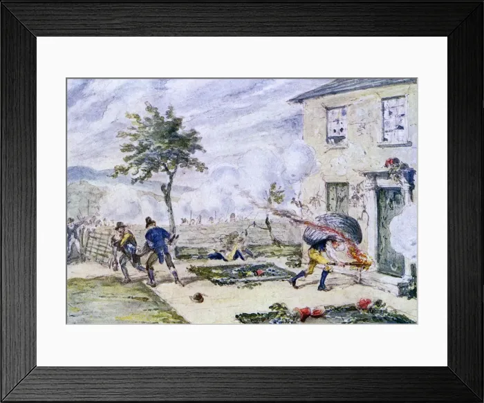 Framed Print : EVENTS / IRELAND 1798 Framed Print : EVENTS / IRELAND 1798