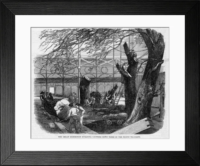 Framed Print : CRYSTAL PALACE / BUILDING Framed Print : CRYSTAL PALACE / BUILDING