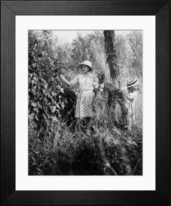 Framed Print : EVACUEES AND FLOWERS Framed Print : EVACUEES AND FLOWERS