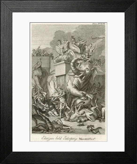 Framed Print : ELEAZAR AND ELEPHANTS Framed Print : ELEAZAR AND ELEPHANTS