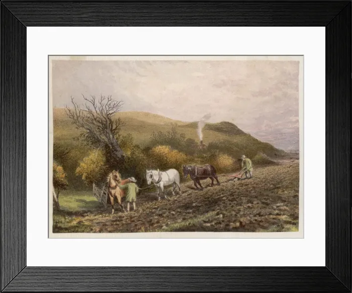 Framed Print : PLOWING WITH HORSES Framed Print : PLOWING WITH HORSES