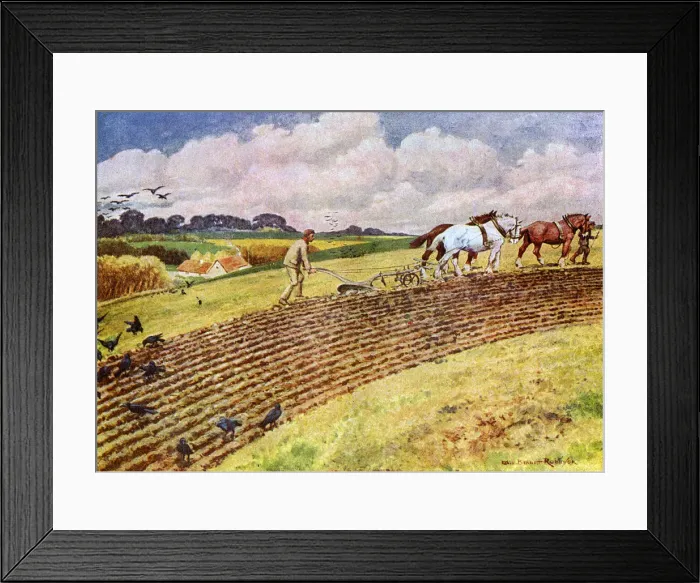 Framed Print : 3-HORSE PLOUGH Framed Print : 3-HORSE PLOUGH