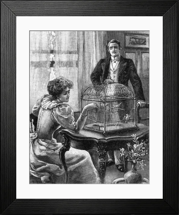 Framed Print : MARRIAGE / A GILDED CAGE Framed Print : MARRIAGE / A GILDED CAGE
