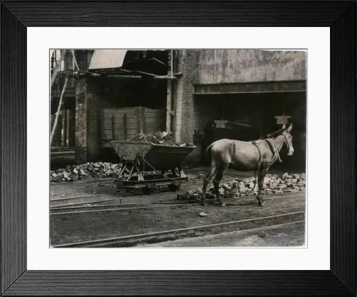Framed Print : COAL / CHINA / MULE Framed Print : COAL / CHINA / MULE