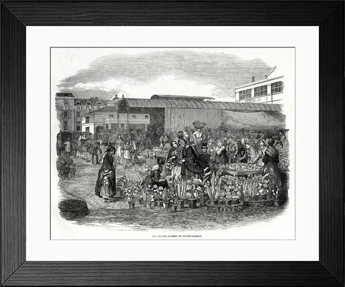 Framed Print : COVENT GARDEN 1848 Framed Print : COVENT GARDEN 1848