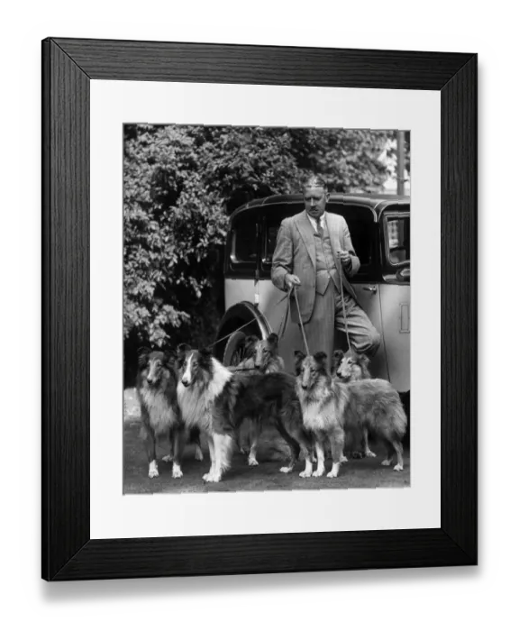 Framed Print : COLLIES & SHETLAND DOGS COLLIES & SHETLAND DOGS Framed Print : COLLIES & SHETLAND DOGS COLLIES & SHETLAND DOGS