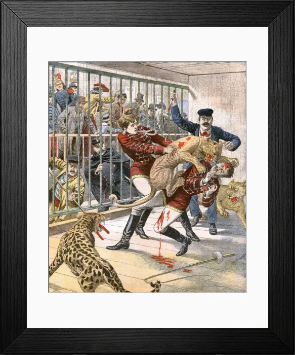 Framed Print : LA GOULUE / PJOURNAL 1904 Framed Print : LA GOULUE / PJOURNAL 1904