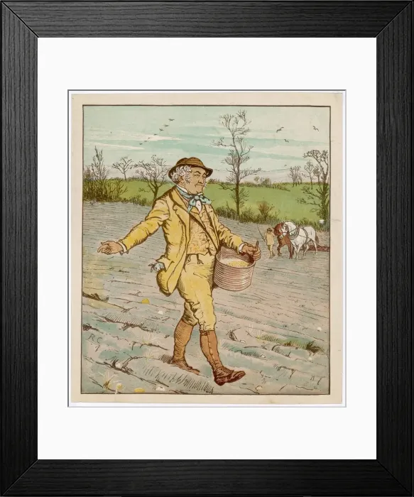 Framed Print : FARMER SOWING CORN 1887 Framed Print : FARMER SOWING CORN 1887