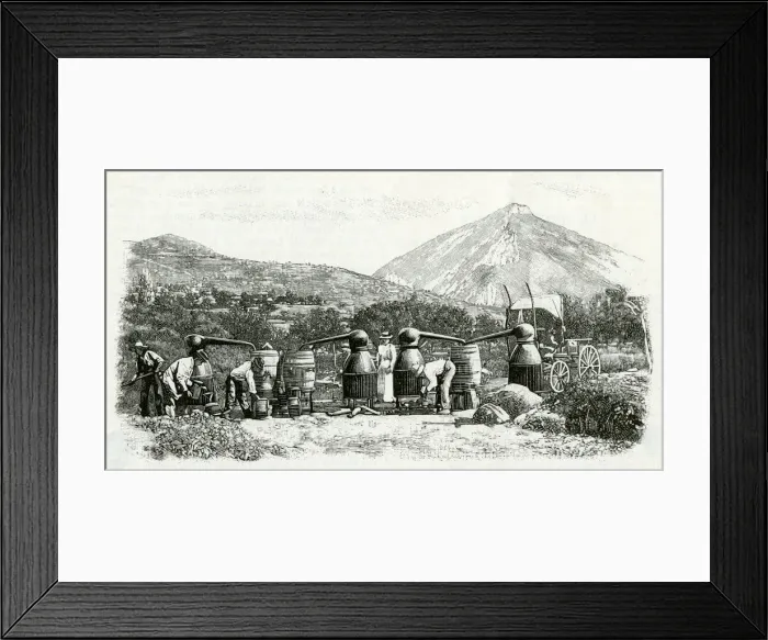 Framed Print : PERFUME MANUFACTURE 1898 Framed Print : PERFUME MANUFACTURE 1898