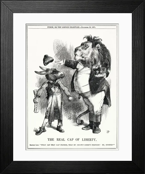 Framed Print : Cartoon, The Real Cap of Liberty Framed Print : Cartoon, The Real Cap of Liberty