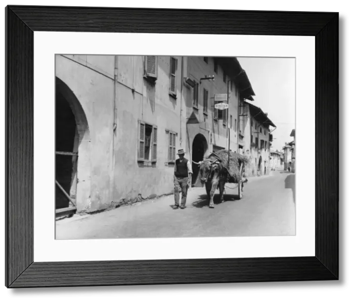 Framed Print : Cart in a street, Santhia, Piemonte, Italy Framed Print : Cart in a street, Santhia, Piemonte, Italy