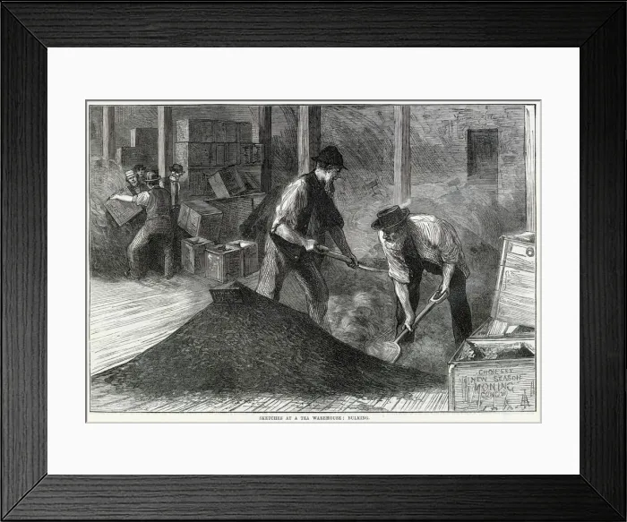Framed Print : Bulking at a tea warehouse 1874 Framed Print : Bulking at a tea warehouse 1874